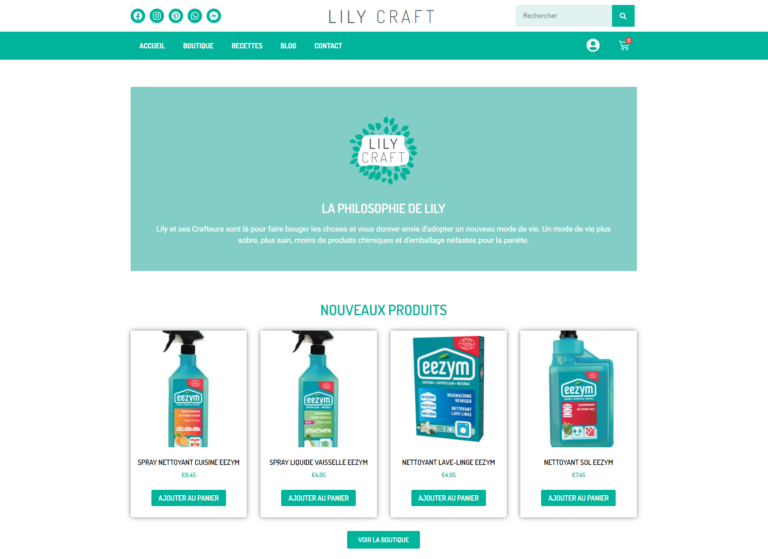 site lilycraft, ecommerce de vente de produits zéro déchets créé par GLT DIGITAL